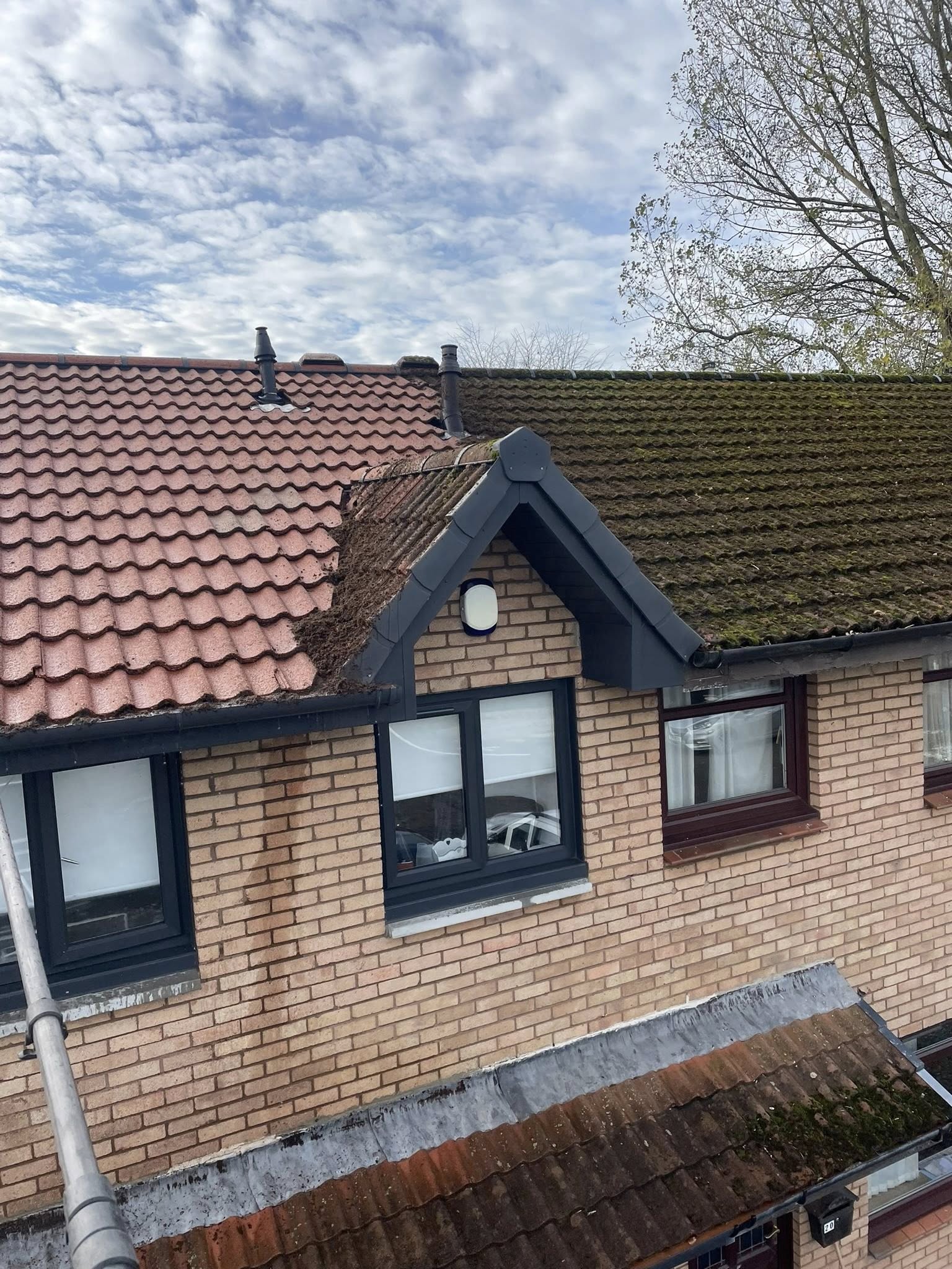 Paisley Roof Cleaning gallery photo 13